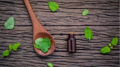 Melissa officinalis Leaf Extract: Phytochemical Assessment of Mechanisms Linked to Stress-Induced Skin Fatigue